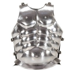 Steel Muscle Armor